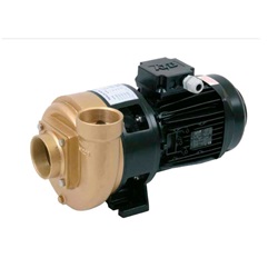 P2000 Spa 2,2kW Zonder voorfilter 400V Pahlen