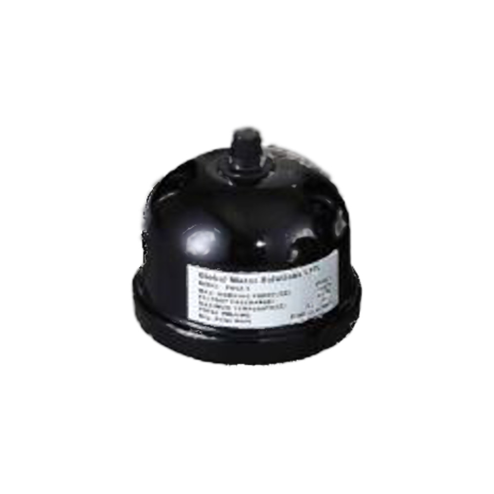 GWS PressureWave PWB 0.3ltr Ric Vaso